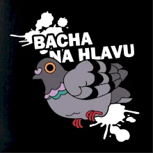 Bacha na hlavu