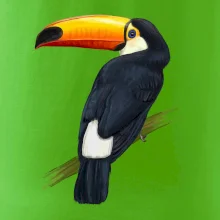 Tukan kreslený