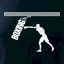 Boxing boxer Boxing boxer