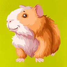 Morča - kreslené, bielo oranžové