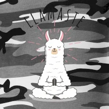 Yoga Llamaste Yoga Llamaste