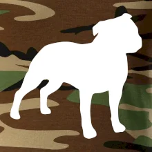 Americký stafordšírsky teriér Na prsníku