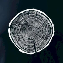 Letokruhy 95 bez veku