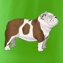 Vintage English bulldog