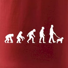 Lagotto romagnolo Evolúcia