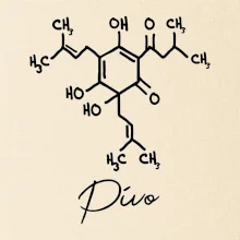 Barová chémia - pivo