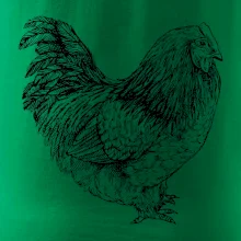 Sliepka čiernobiela