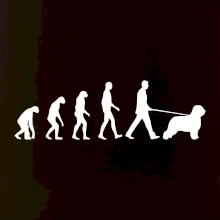 Evolúcia pes Briard