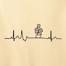 EKG Filodendron