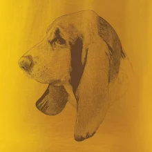 Basset - kreslená hlava