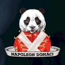 Napoleon domáci panda