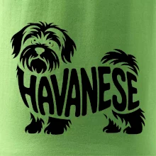 Havanese nápis v tele