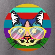 Mačka pri farebnom západe