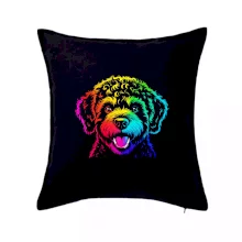 Lagotto romagnolo dúhová hlava