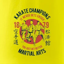 Karate Champions