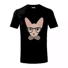 Hipster sphynx