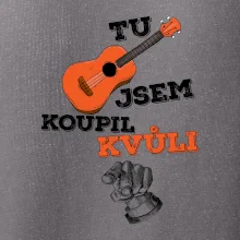 Když koupíš kytaru