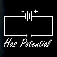 Has potential Has potential