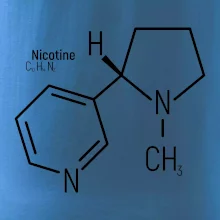 Molekulárna štruktúra Nikotín