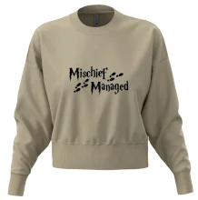 Harry - Mischief Managed