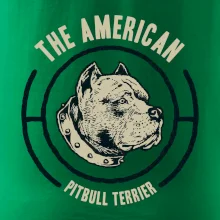 Americký pitbull terier hlava