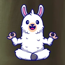 Yoga meditácie - lama