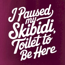 I Paused My Skibidi Toilet to be Here