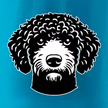 Lagotto romagnolo hlava na prsníku