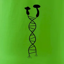 DNA huby