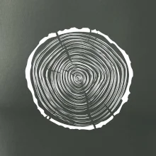 Letokruhy 30 bez veku