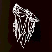 Geometria - vlk - vyjúci