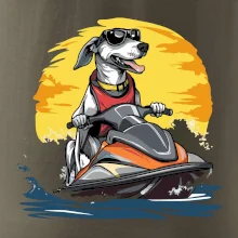 Chrt na vodnom skútri