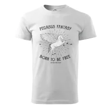 Pegasus fantasy Pegasus fantasy