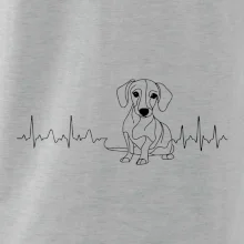 EKG krivka jazvečík