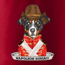 Napoleon domáci kríženec