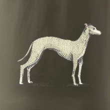 Vintage Whippet