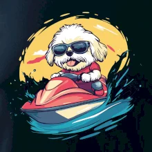 Lhasa Apso na vodnom skútri