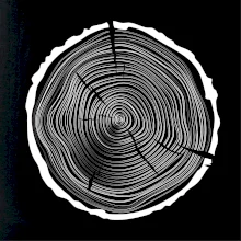 Letokruhy 50 bez veku