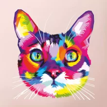Mačka dúhová hlava
