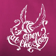 Harry - Zlatá strela