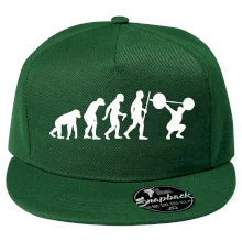 Evolution fitness Evolution fitness