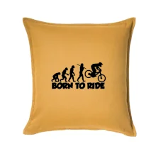 Evolution Born to ride