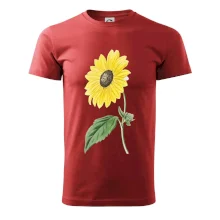 Slnečnica otočená