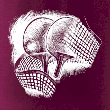 Ping pong rakety a sieť