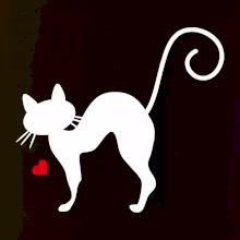 Zamilovaná mačka prehnutá