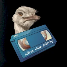 Pštrosi vídea Pštrosi vídea