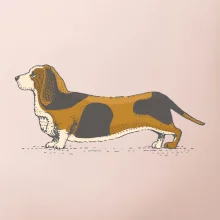 Vintage basset