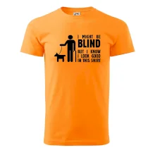 I might be blind I might be blind