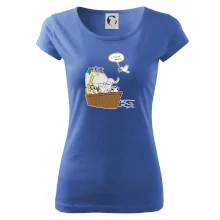 Pravda s Noemovou archou