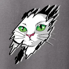 Kočka v roztrženém triku